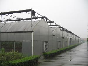 連棟溫室大棚